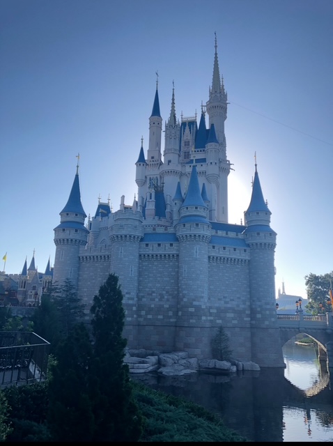 Top 6 Must Do’s for your first Disney World&nbsp;trip.